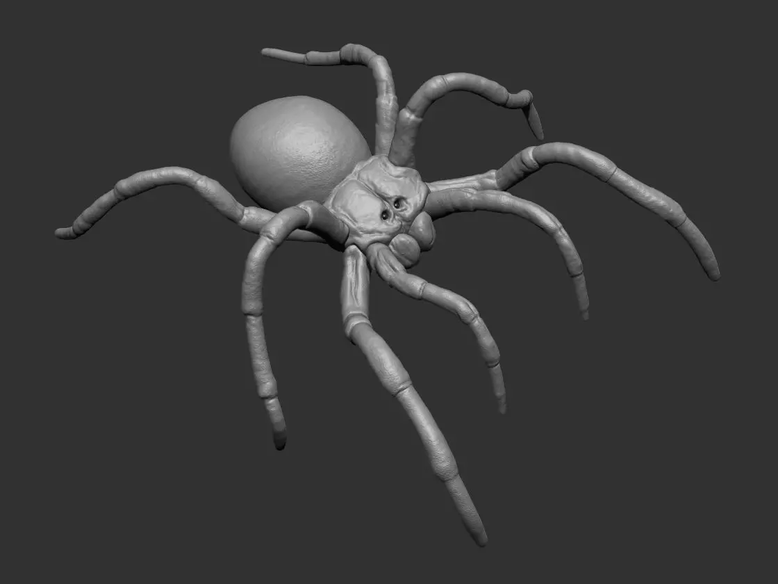 Tarantula Spider 3D print model_0