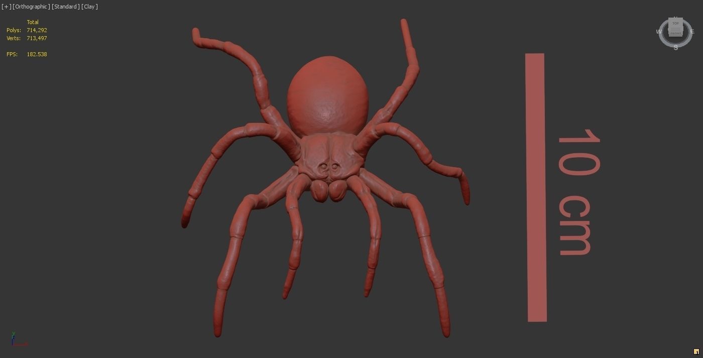 Tarantula Spider 3D print model_15