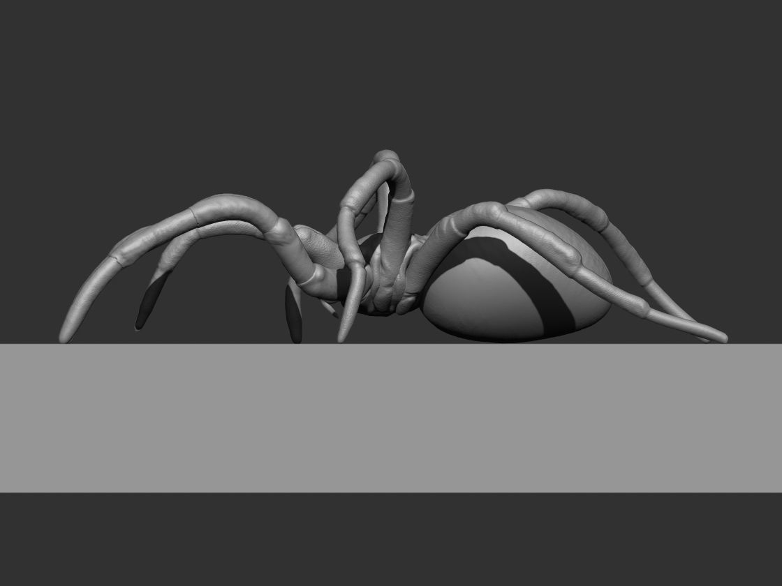 Tarantula Spider 3D print model_11