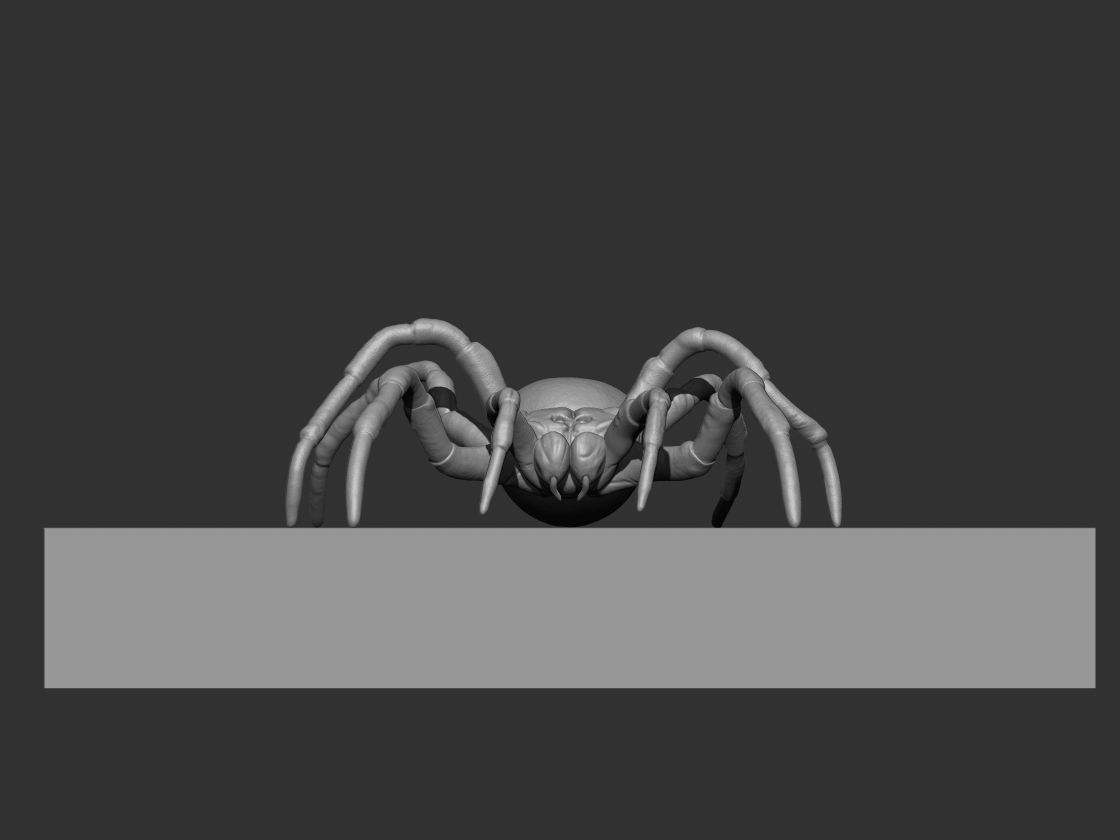 Tarantula Spider 3D print model_10