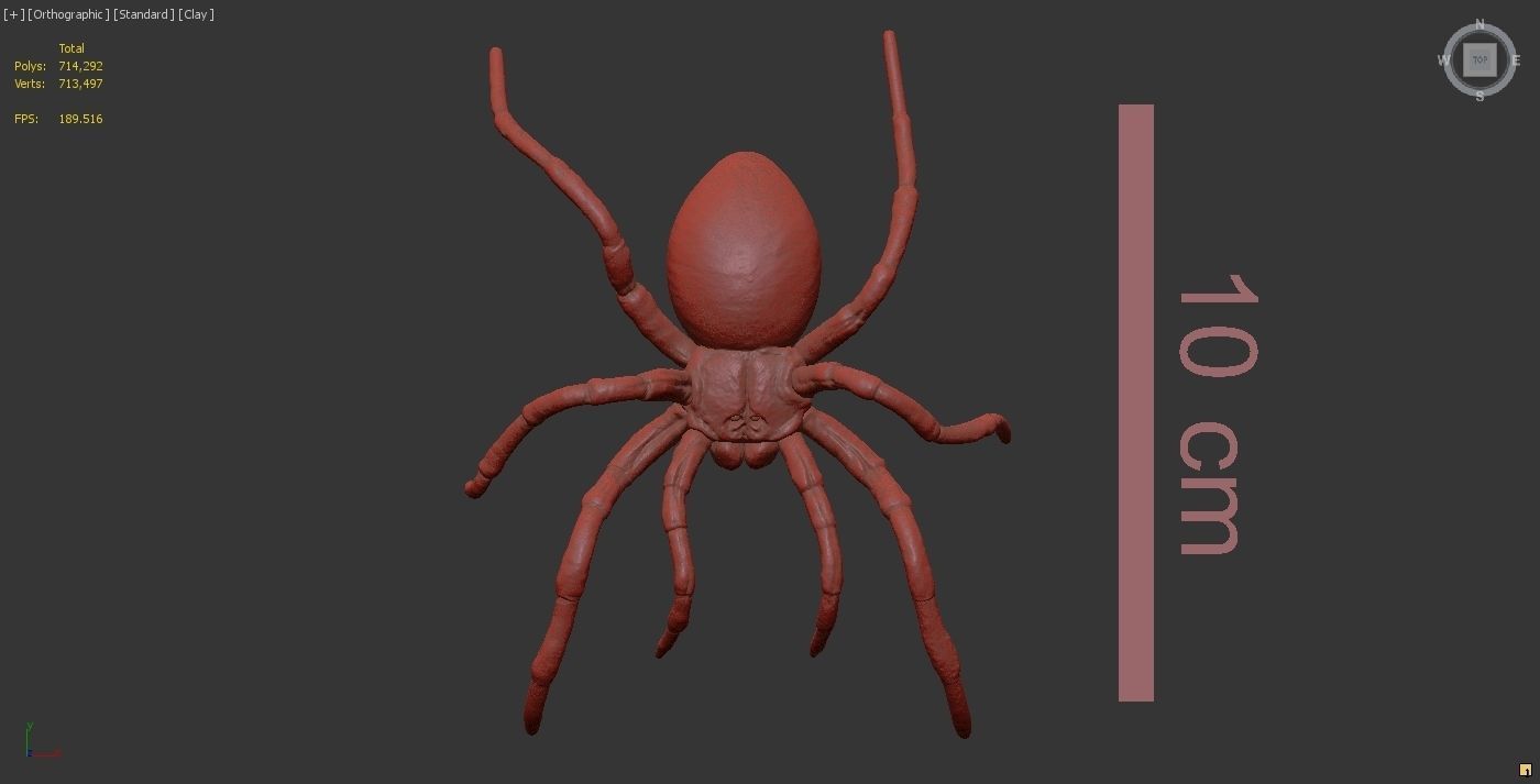 Tarantula Spider 3D print model_17