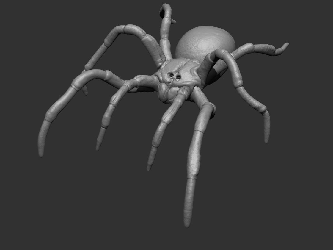Tarantula Spider 3D print model_2