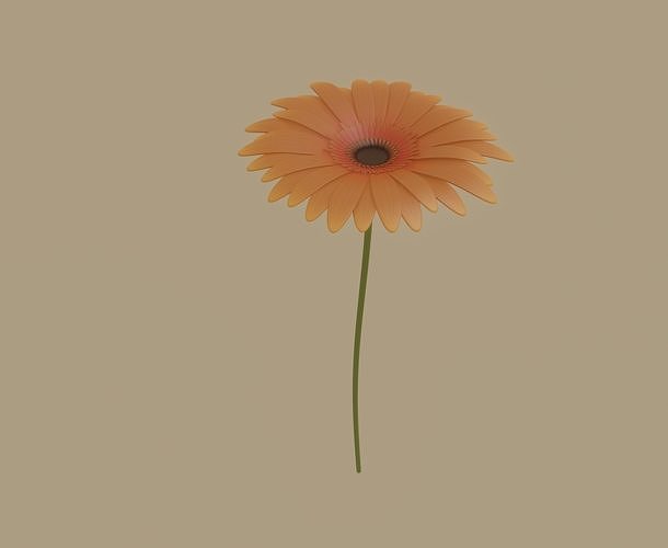 Gerbera Flower 3D model