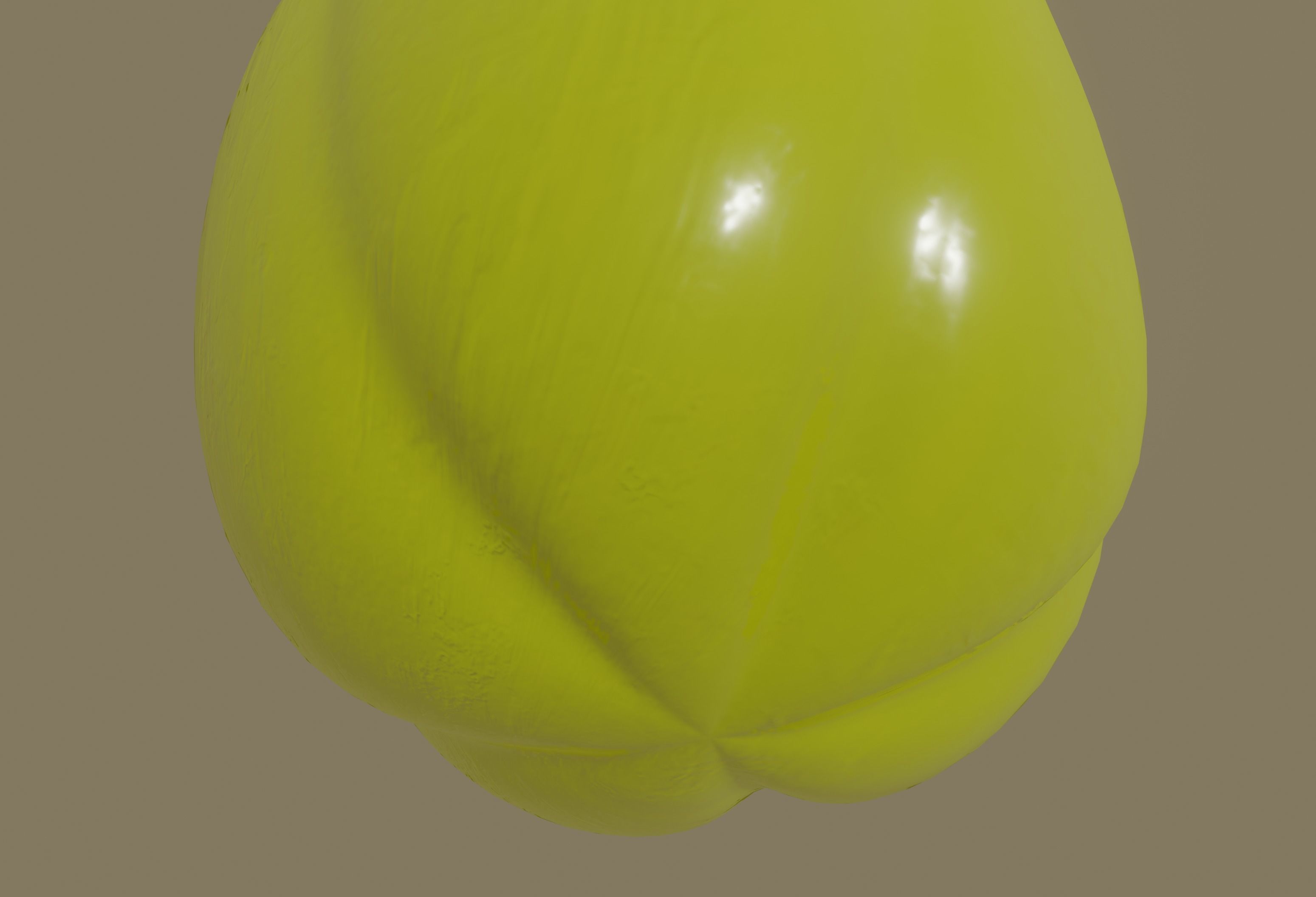 Bell Pepper 3D model_14