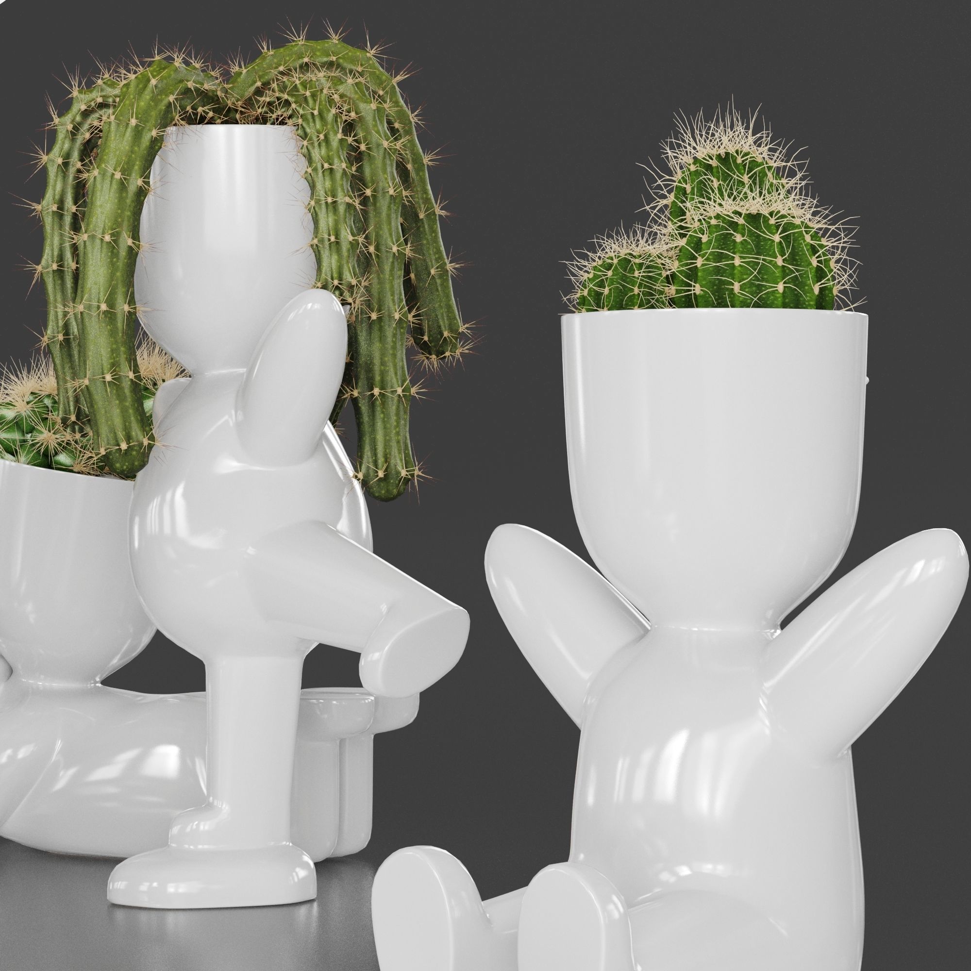 Cacti Set cactus planters 3D model_3