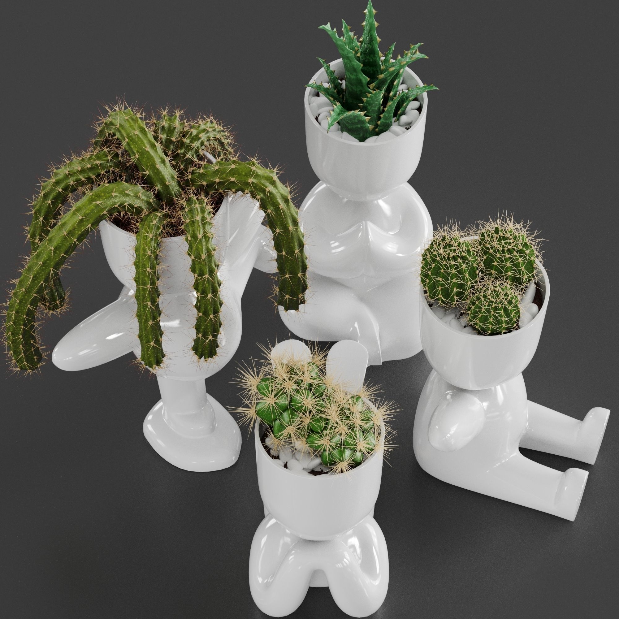 Cacti Set cactus planters 3D model_4