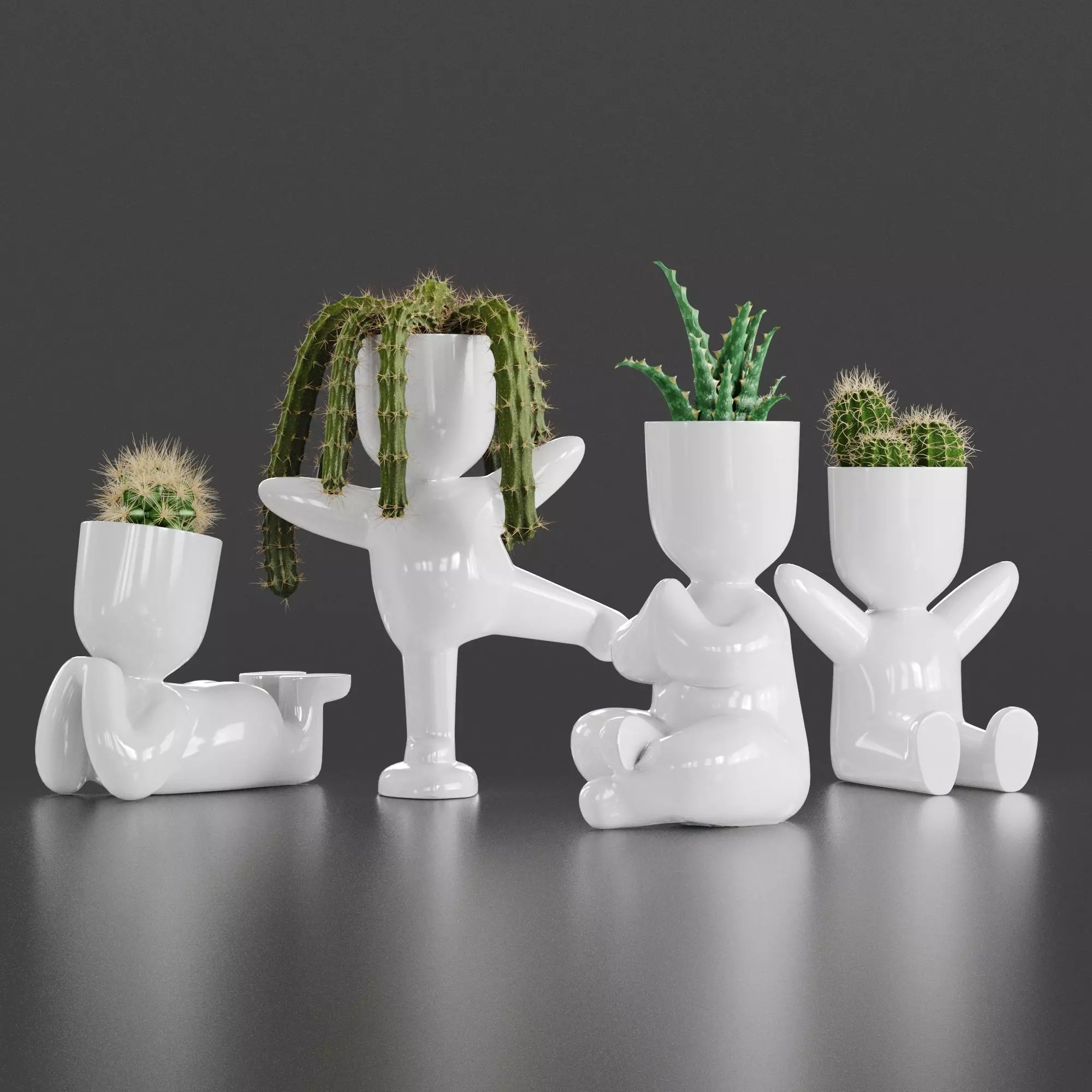 Cacti Set cactus planters 3D model_0