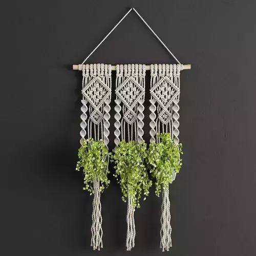 Macrame Planter
