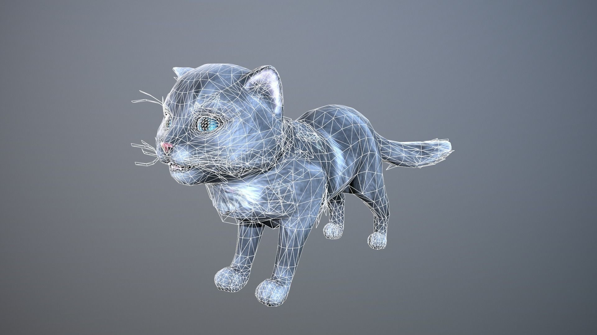 Animated cat Low-poly 3D model_5