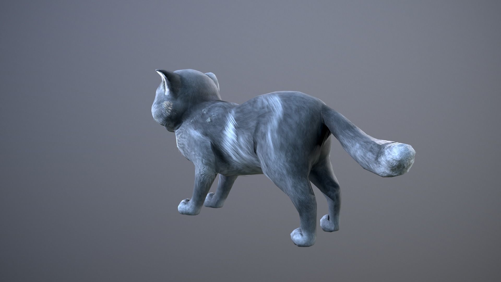 Animated cat Low-poly 3D model_4