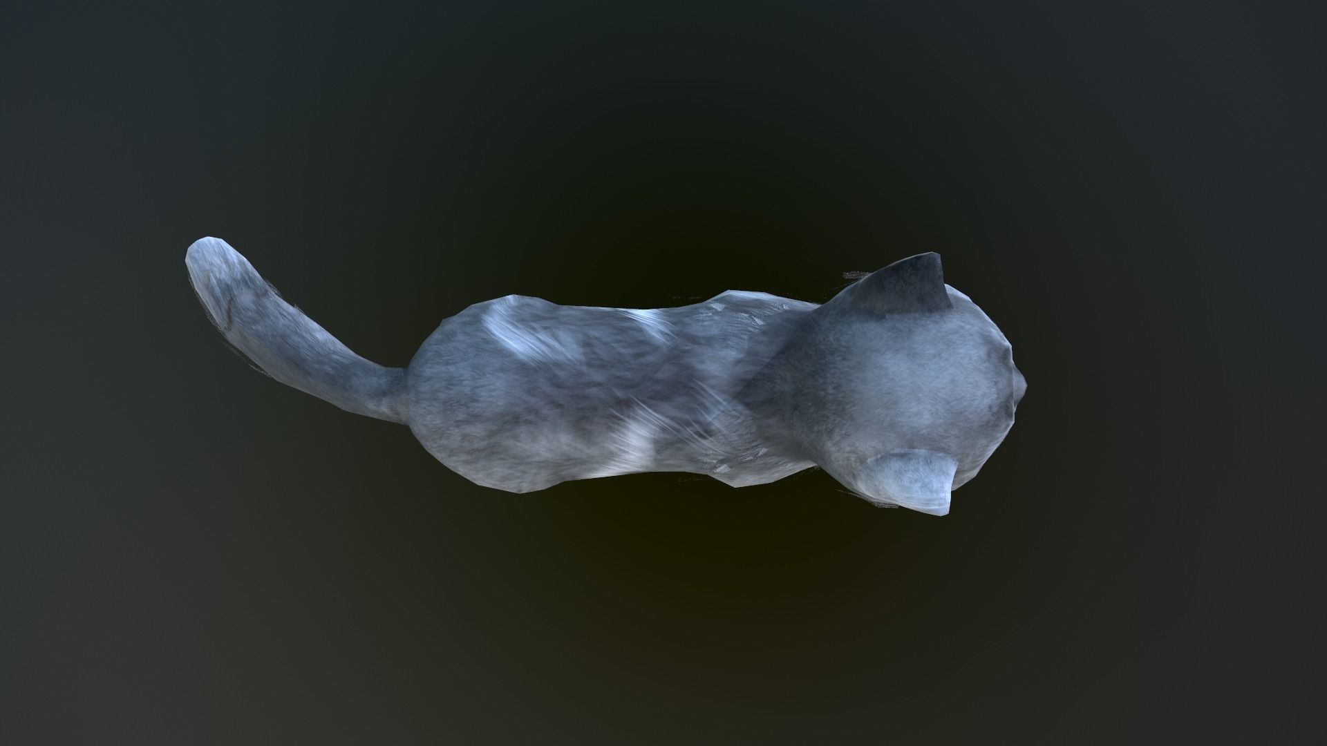 Animated cat Low-poly 3D model_6