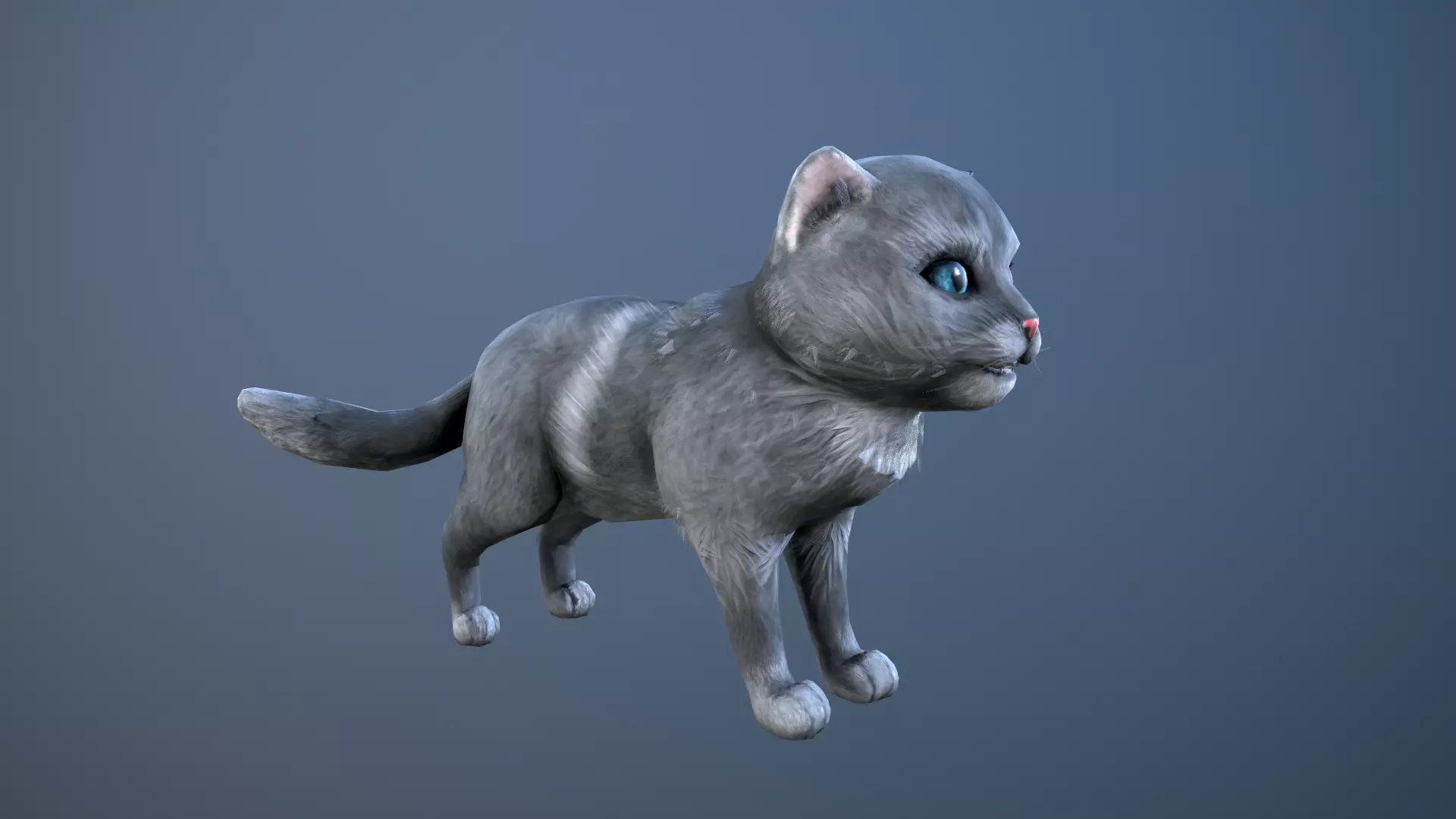 Animated cat Low-poly 3D model_0