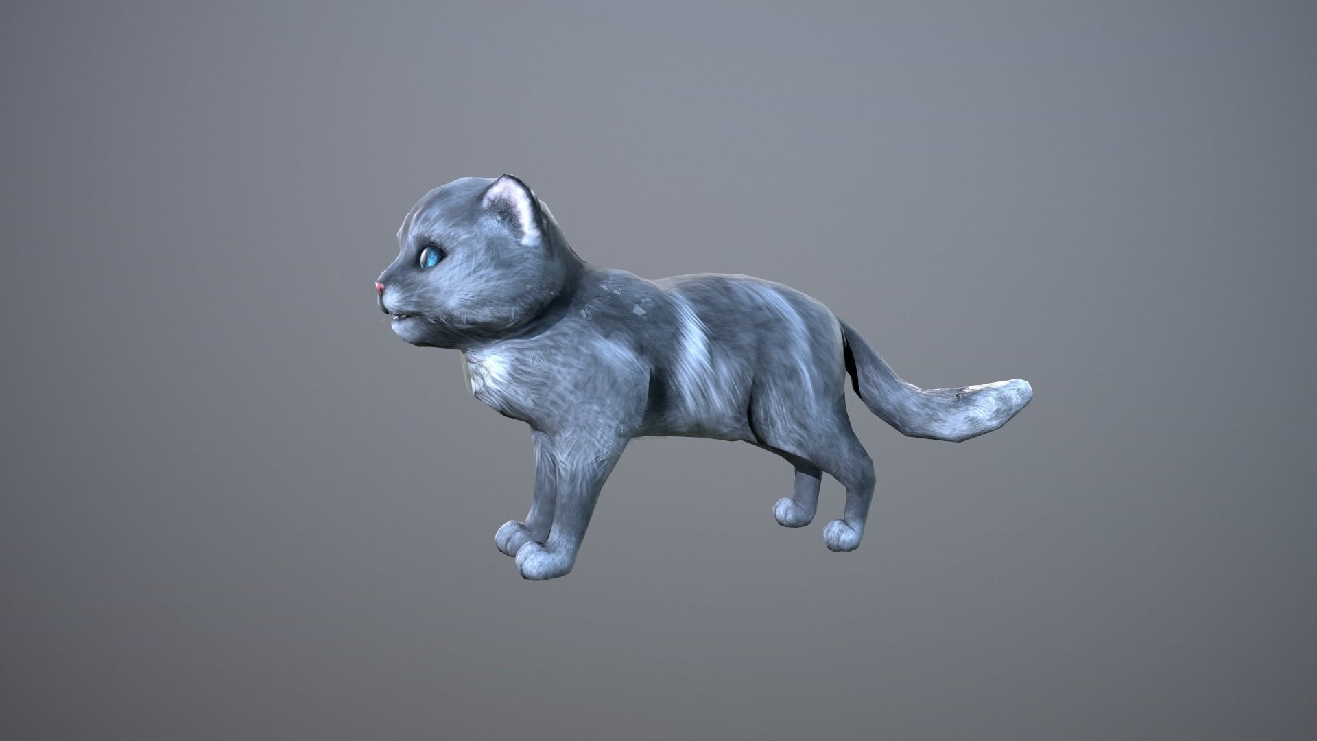 Animated cat Low-poly 3D model_3