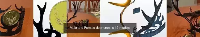Male and Female deer crowns