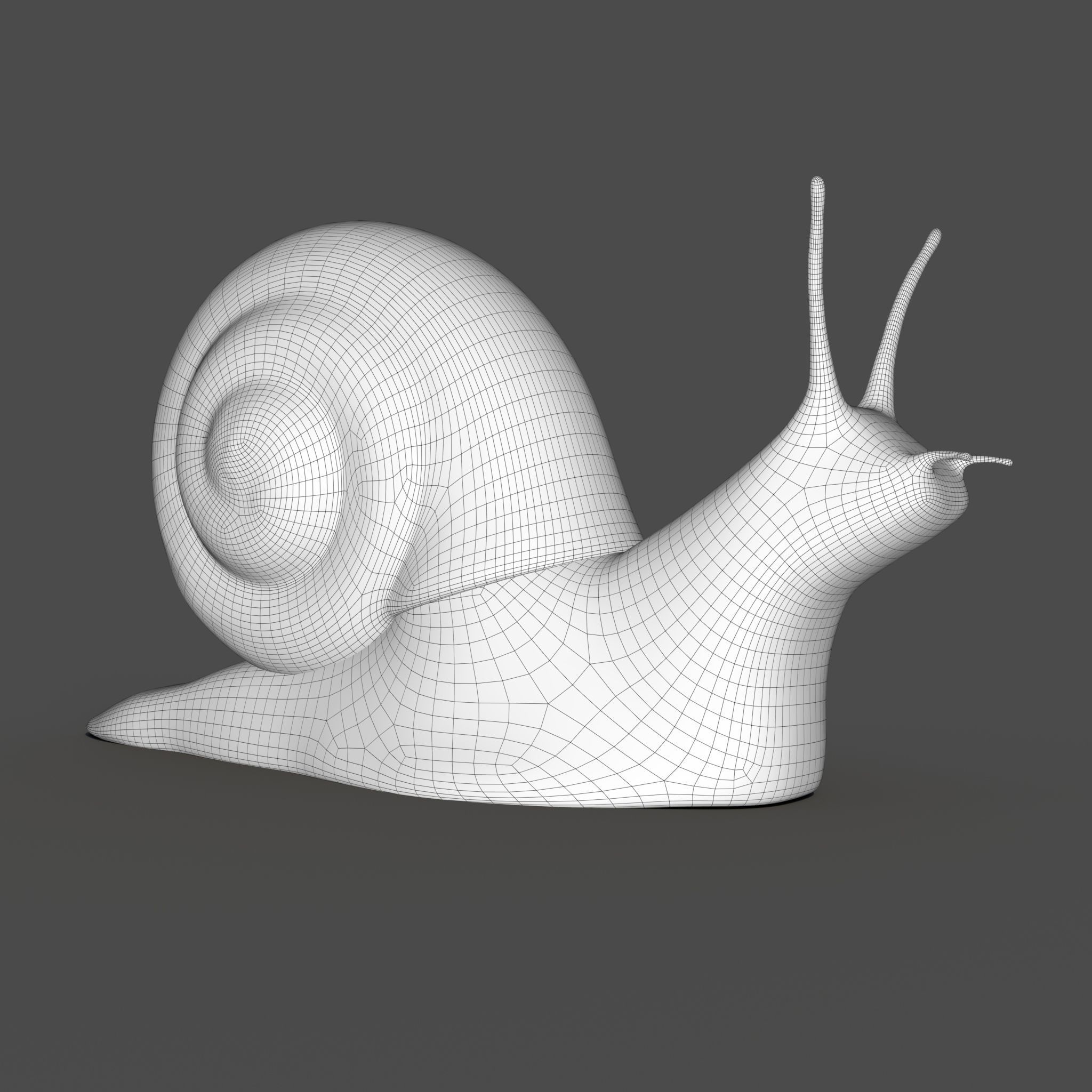 Snail Low-poly 3D model_3