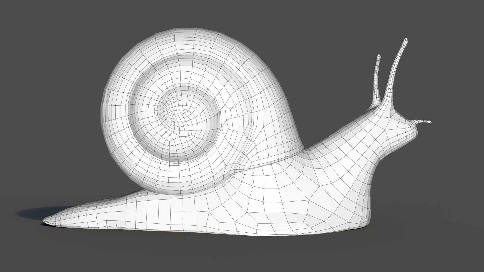 Snail Low-poly 3D model_6