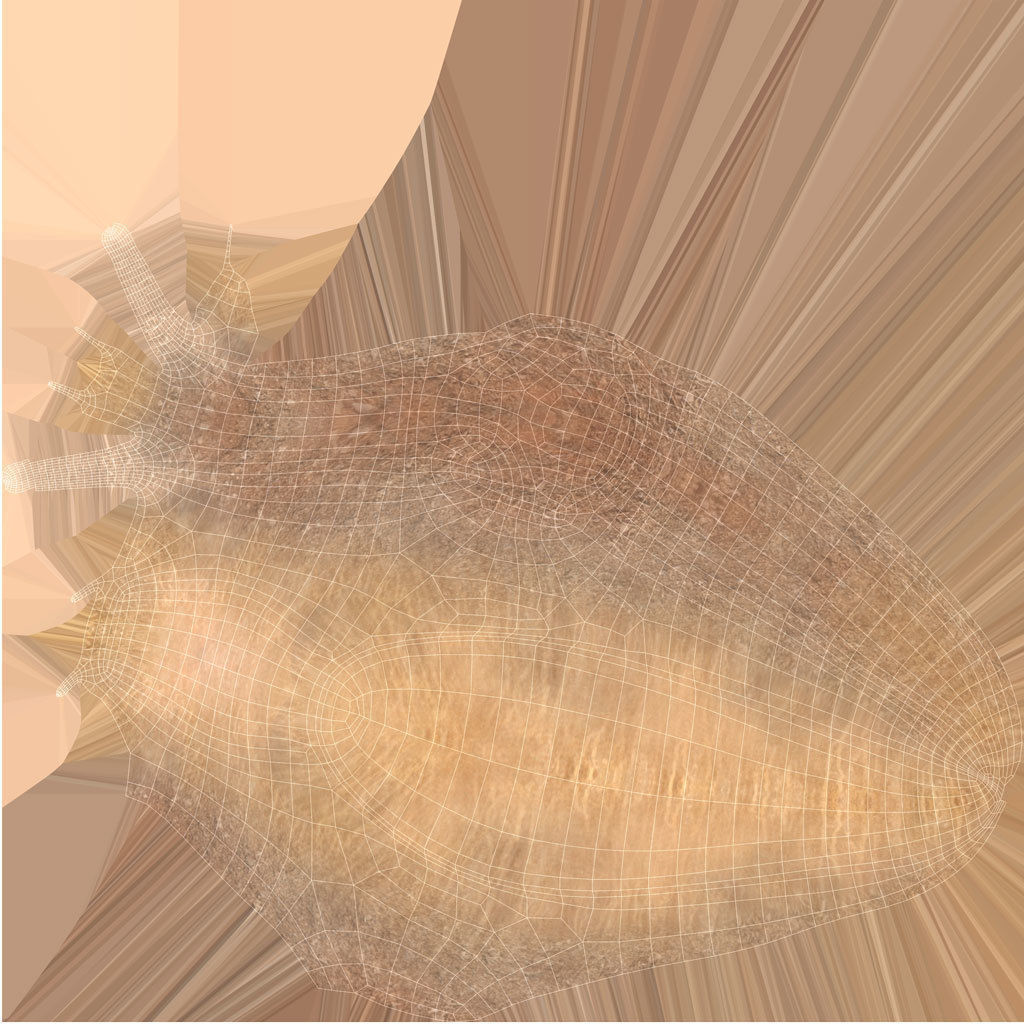 Snail Low-poly 3D model_8