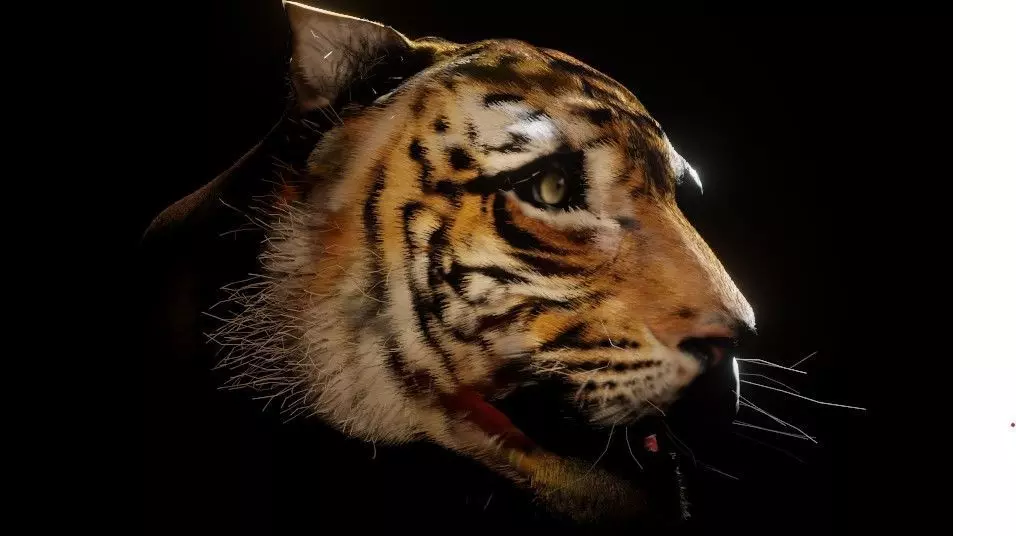 Tiger head blender Free low-poly 3D model_0