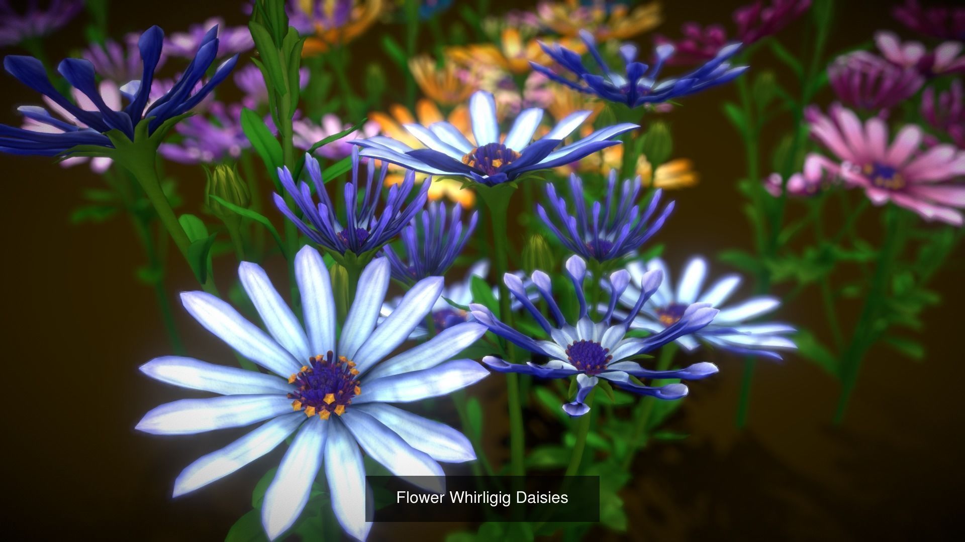 Flower Collections Country World path 7 _1