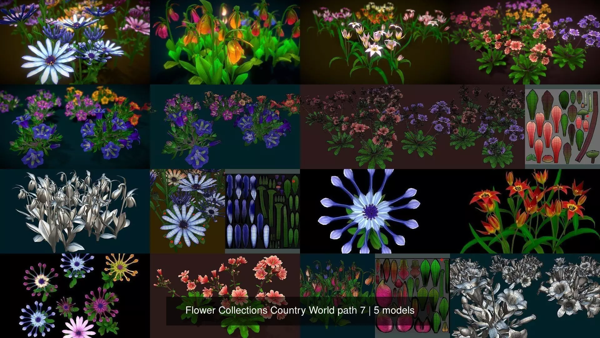 Flower Collections Country World path 7 _0