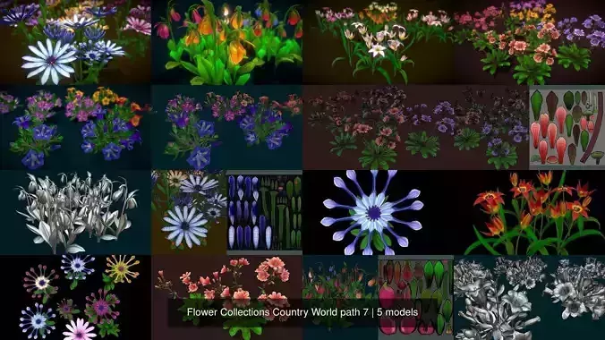Flower Collections Country World path 7
