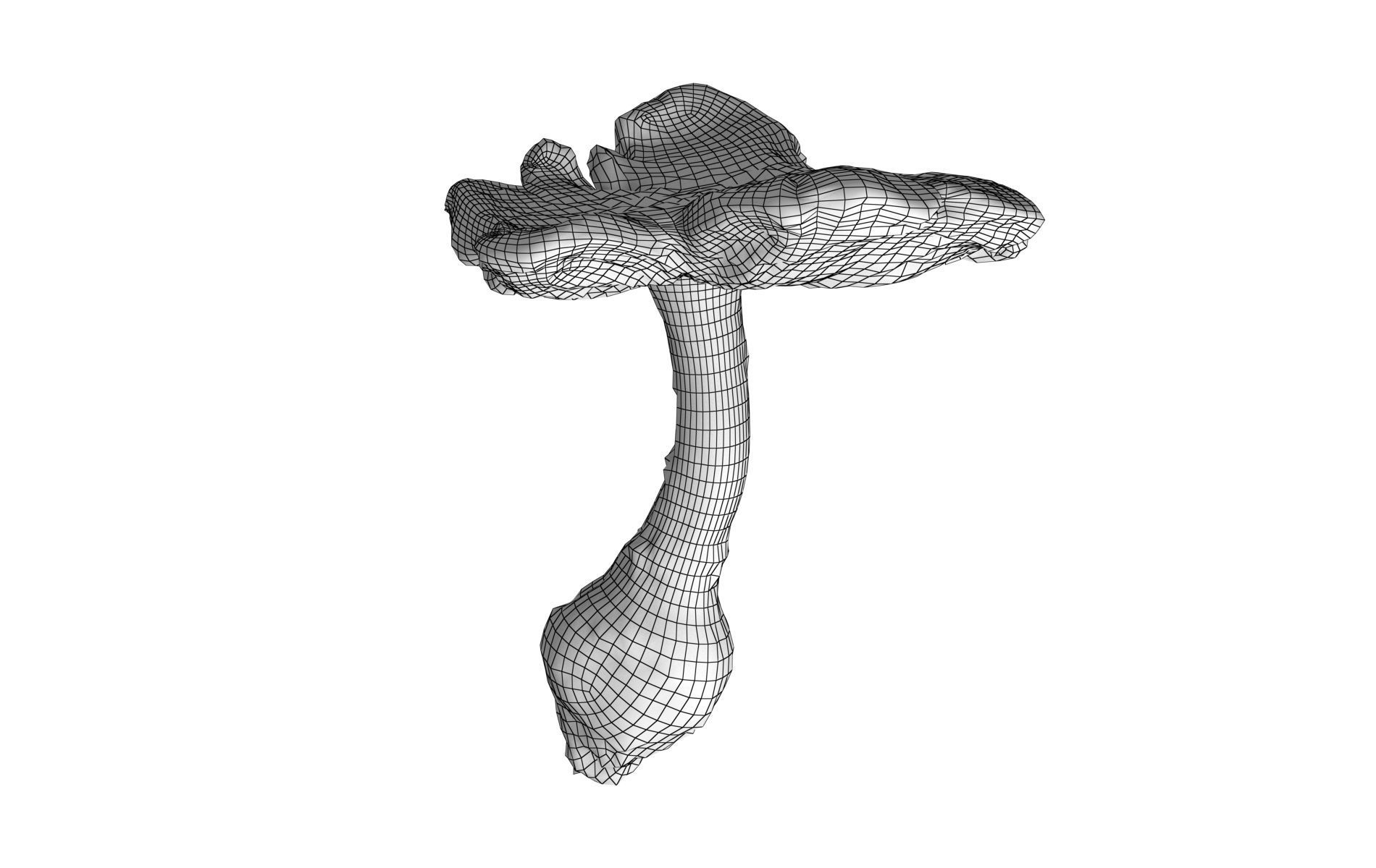 Scanned Mushrooms Pack Low-poly 3D model_18