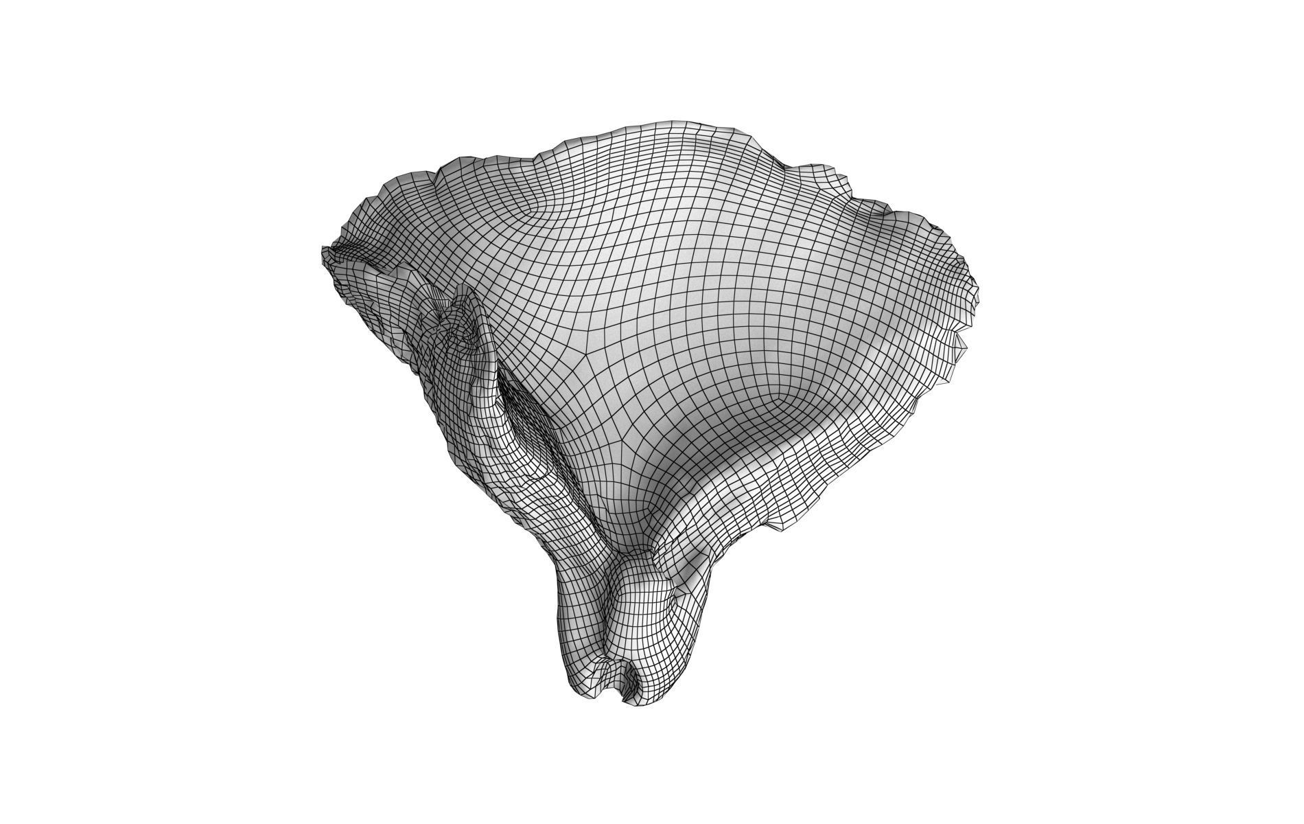 Scanned Mushrooms Pack Low-poly 3D model_17