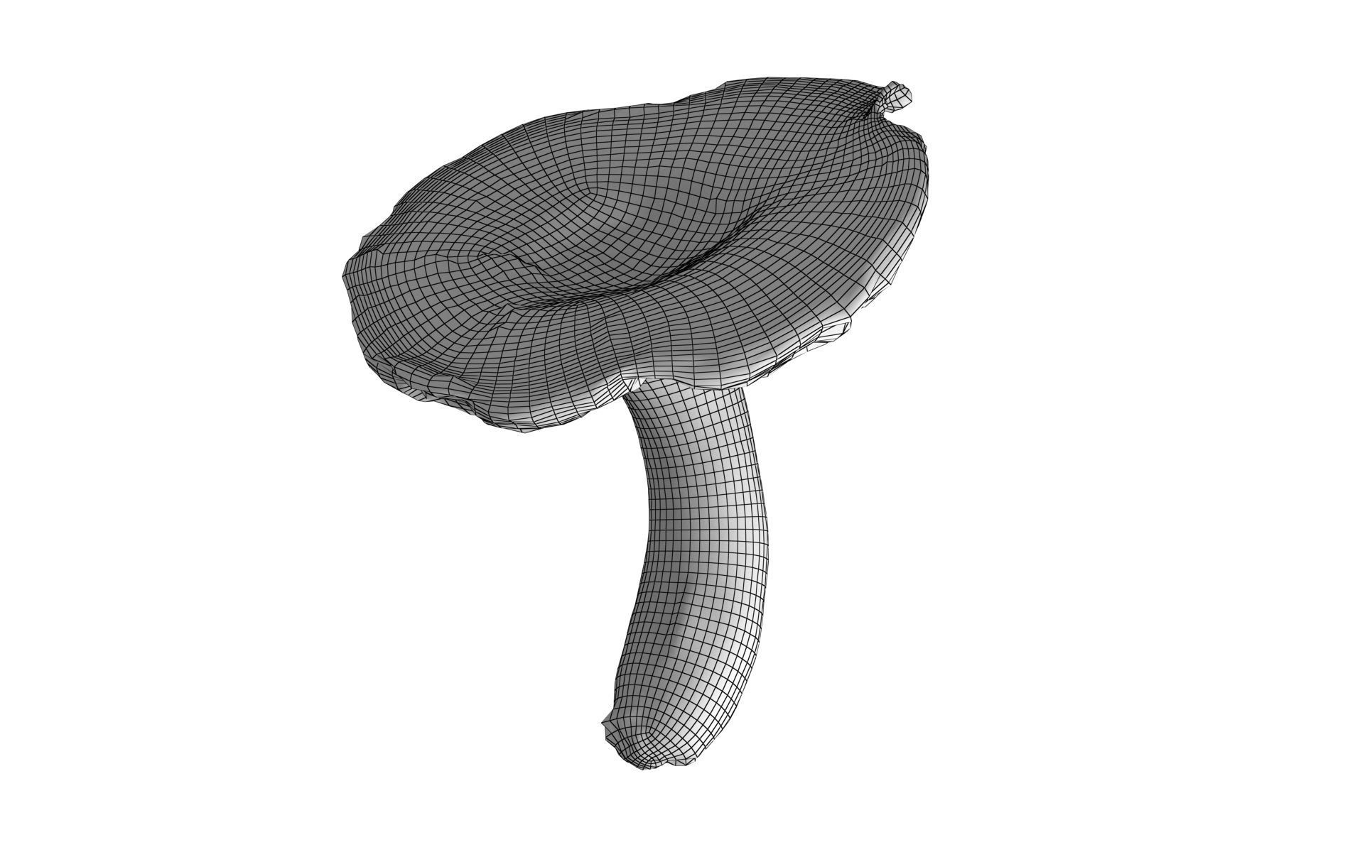 Scanned Mushrooms Pack Low-poly 3D model_21