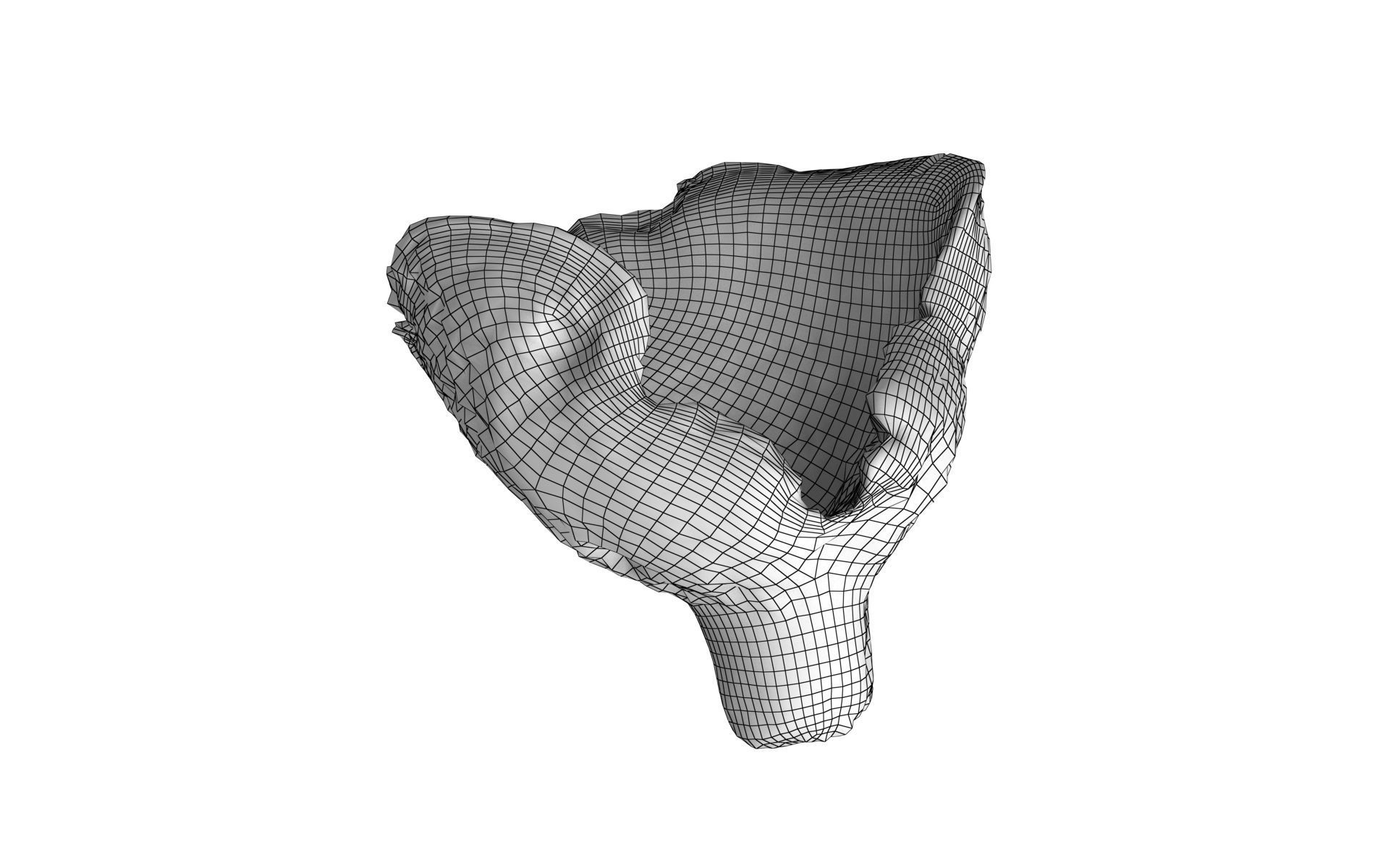 Scanned Mushrooms Pack Low-poly 3D model_20