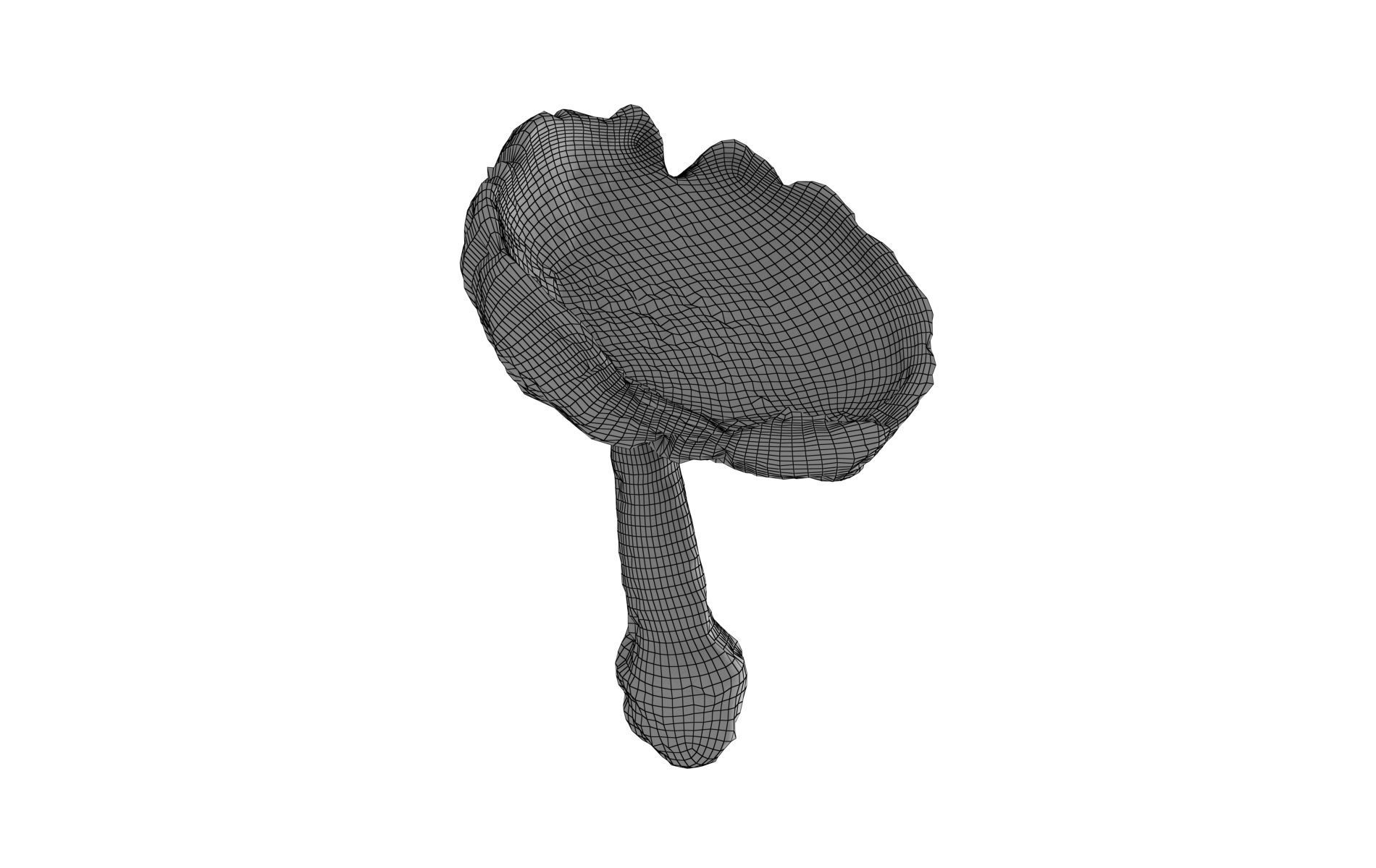 Scanned Mushrooms Pack Low-poly 3D model_19