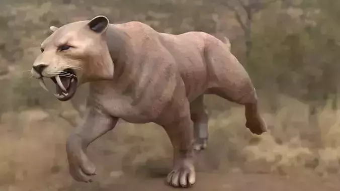 lione panther running in wild