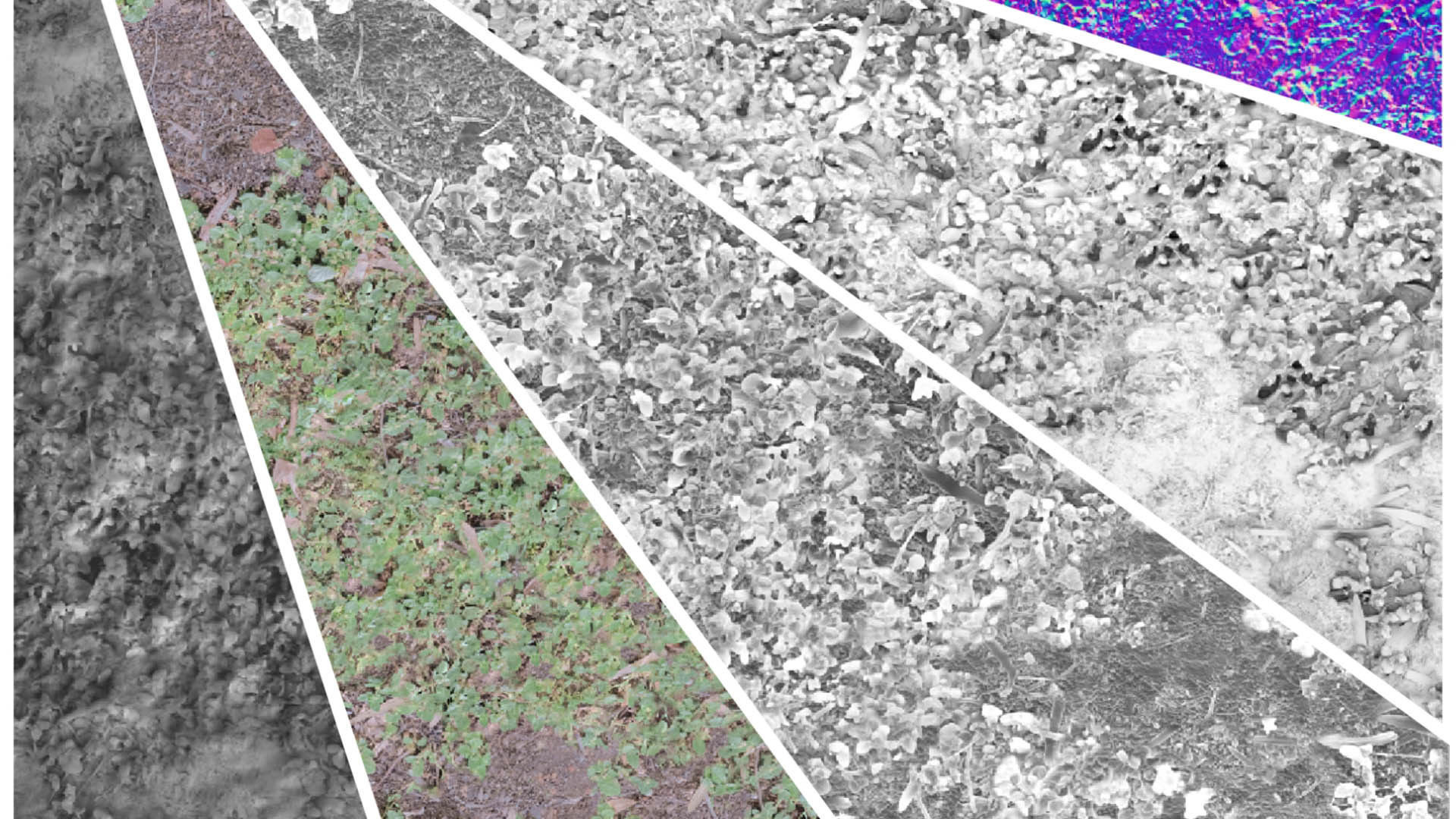 PBR GRASS 02 MIXED 2K PNG Texture_6