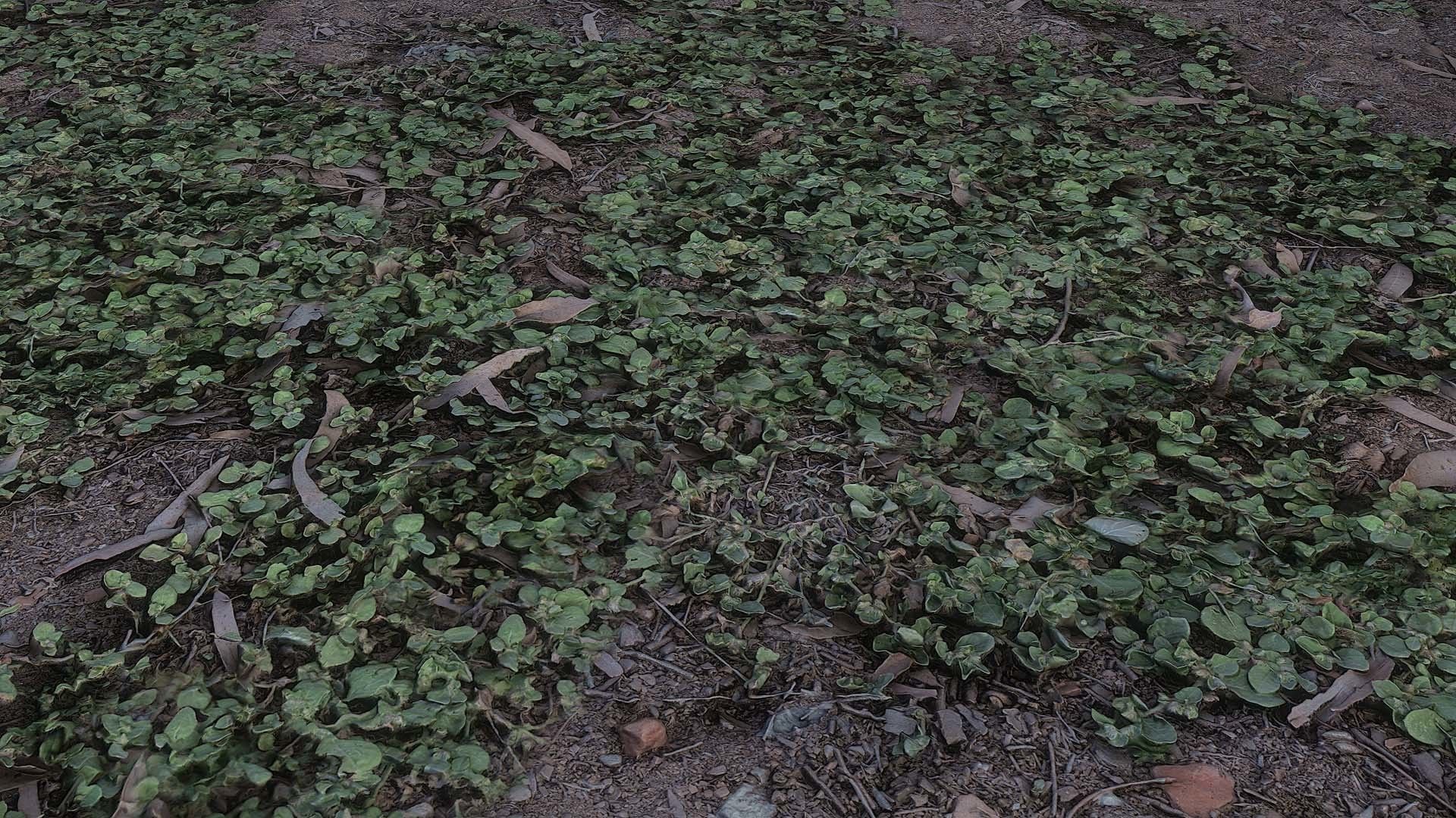 PBR GRASS 02 MIXED 2K PNG Texture_3