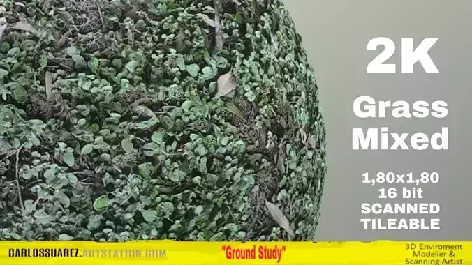 PBR GRASS 02 MIXED 2K PNG Texture