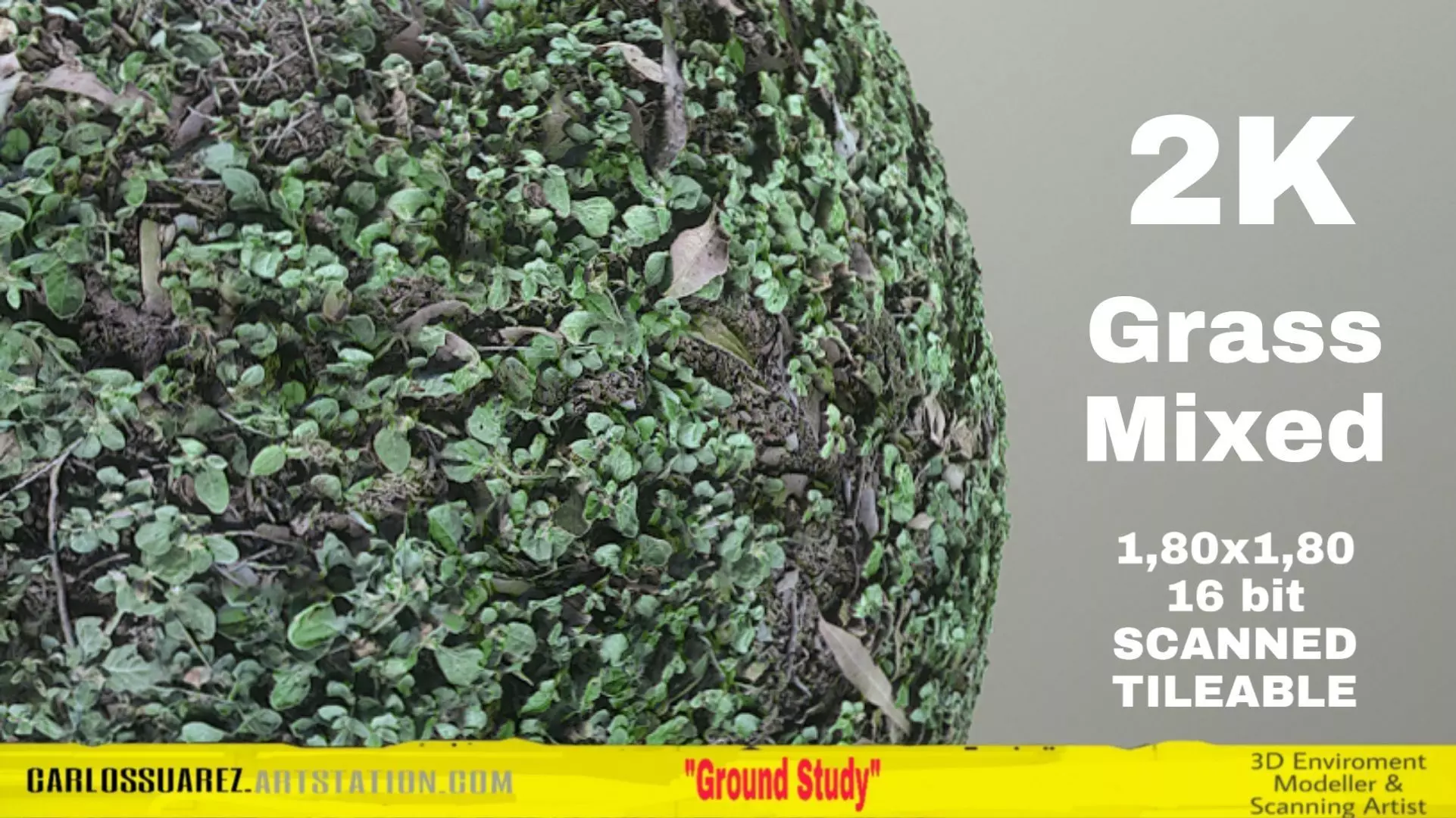 PBR GRASS 02 MIXED 2K PNG Texture_0