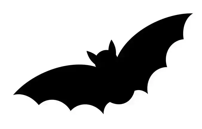 HALLOWEEN BAT COOKIE and FONDANT CUTTER