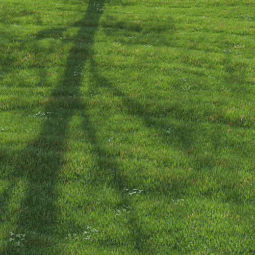 green lawn 3D model 3