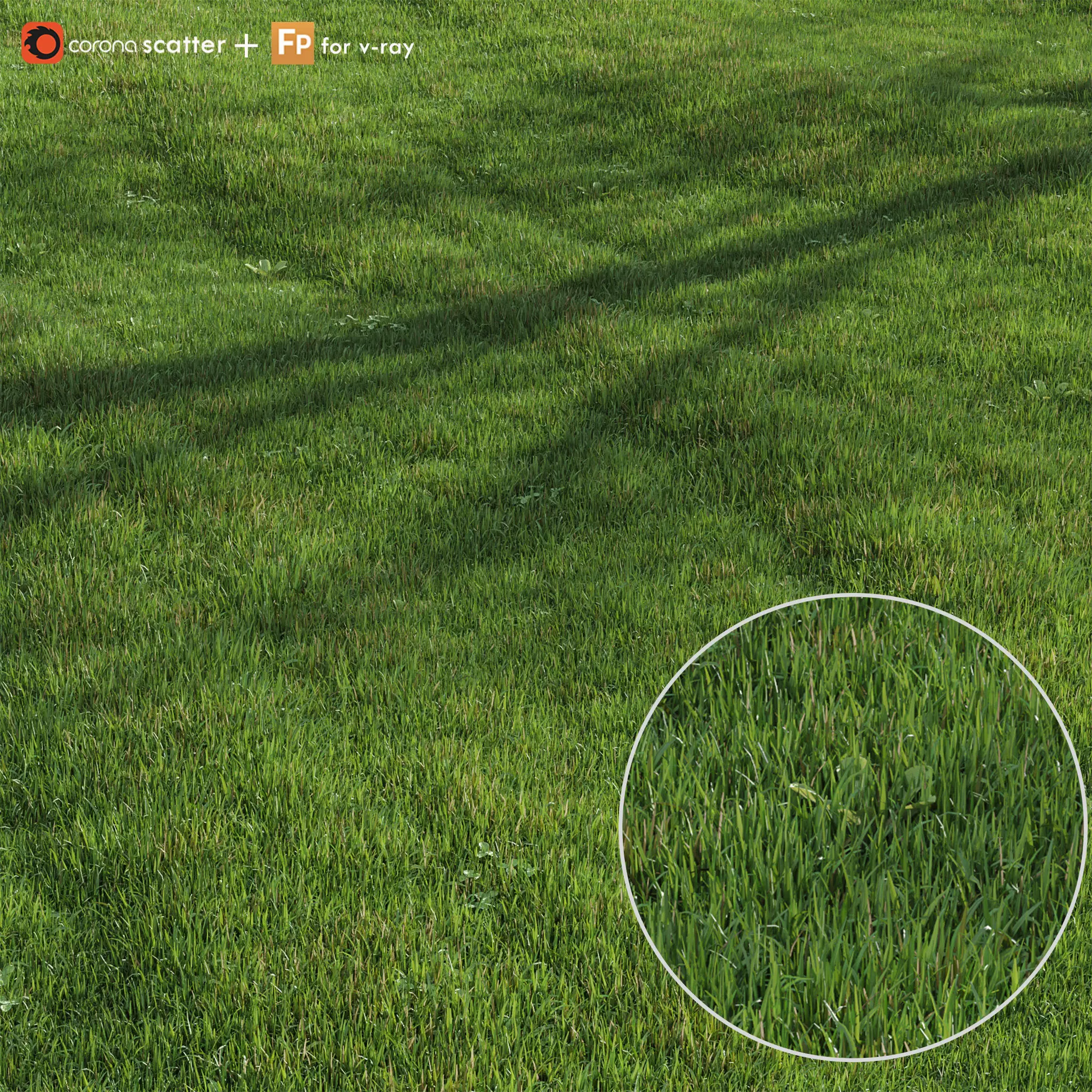 green lawn 3D model