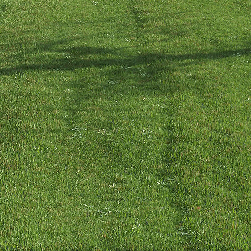 green lawn 3D model 4