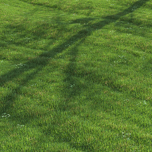 green lawn 3D model 5