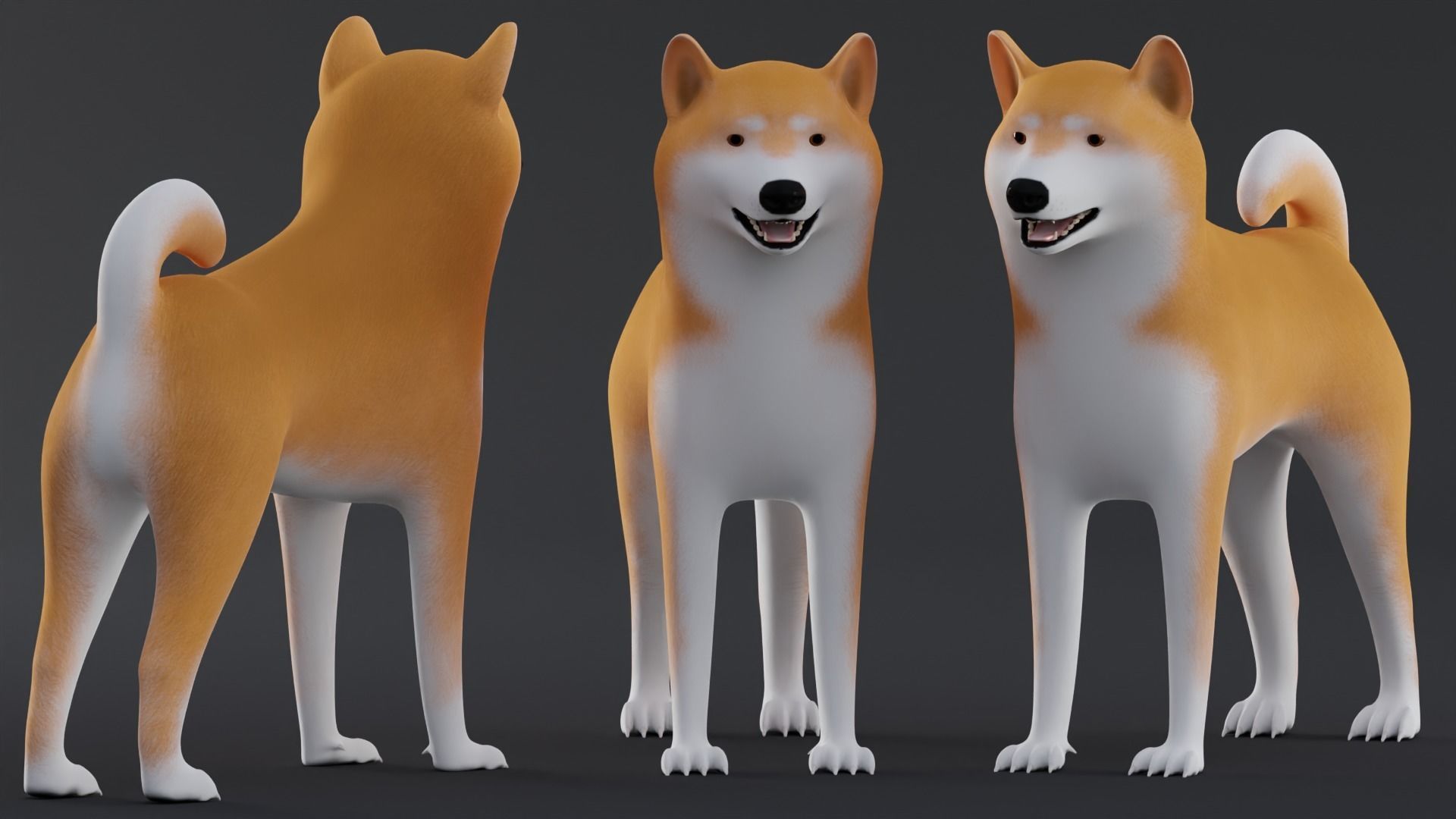 Dog Shiba Inu Low Poly Model Game AR VR Low-poly 3D model_6