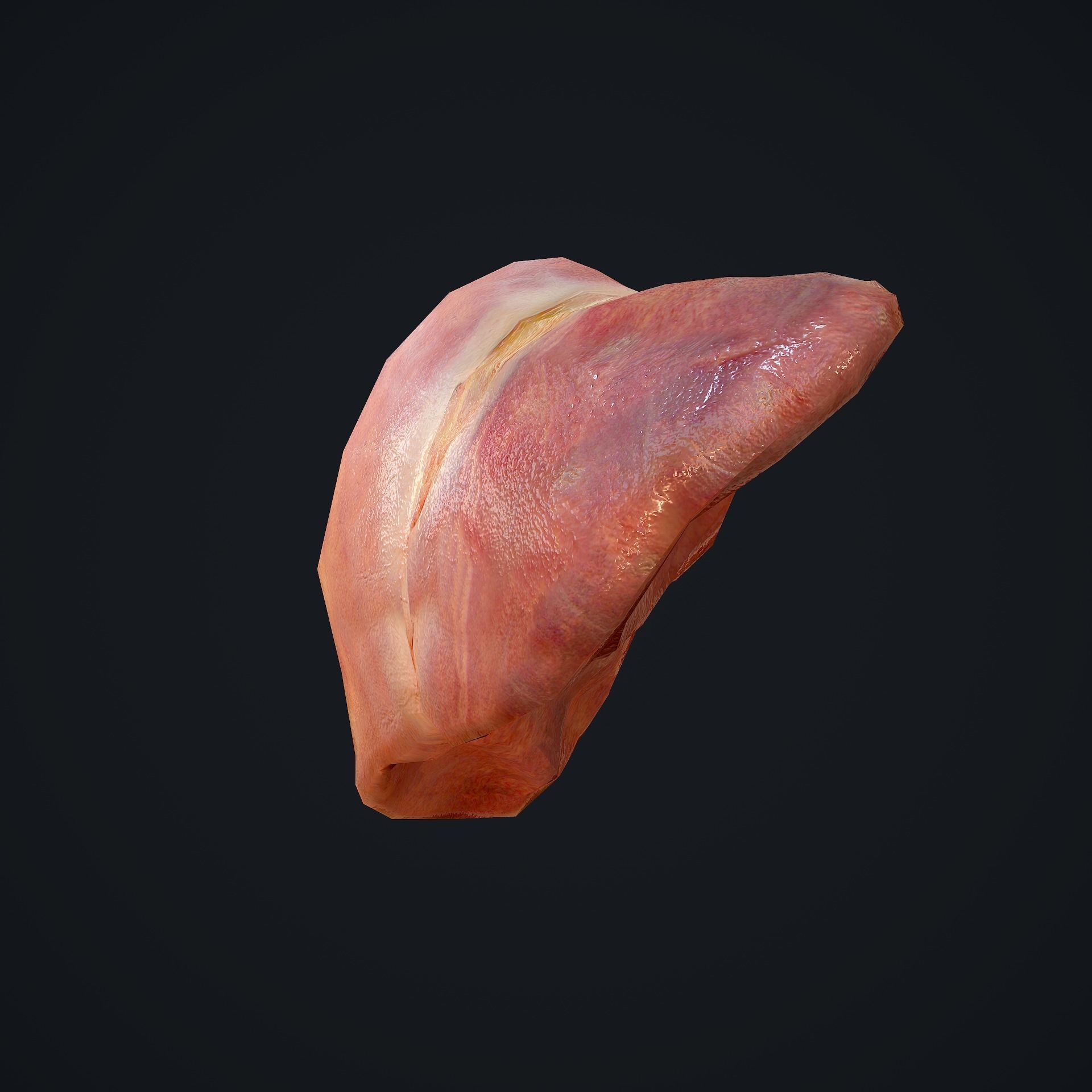 Human Liver Low-poly 3D model_9