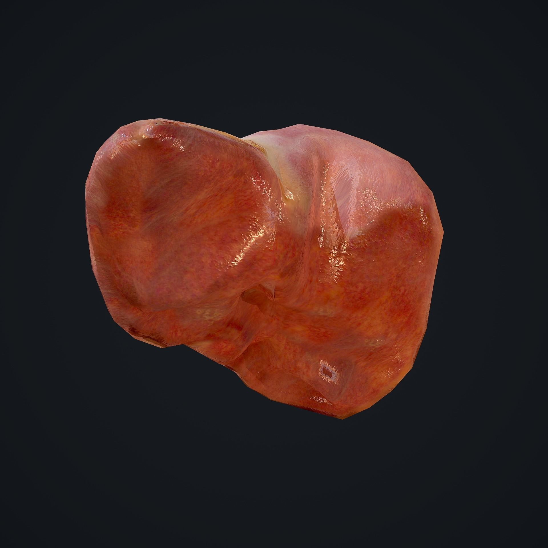 Human Liver Low-poly 3D model_4