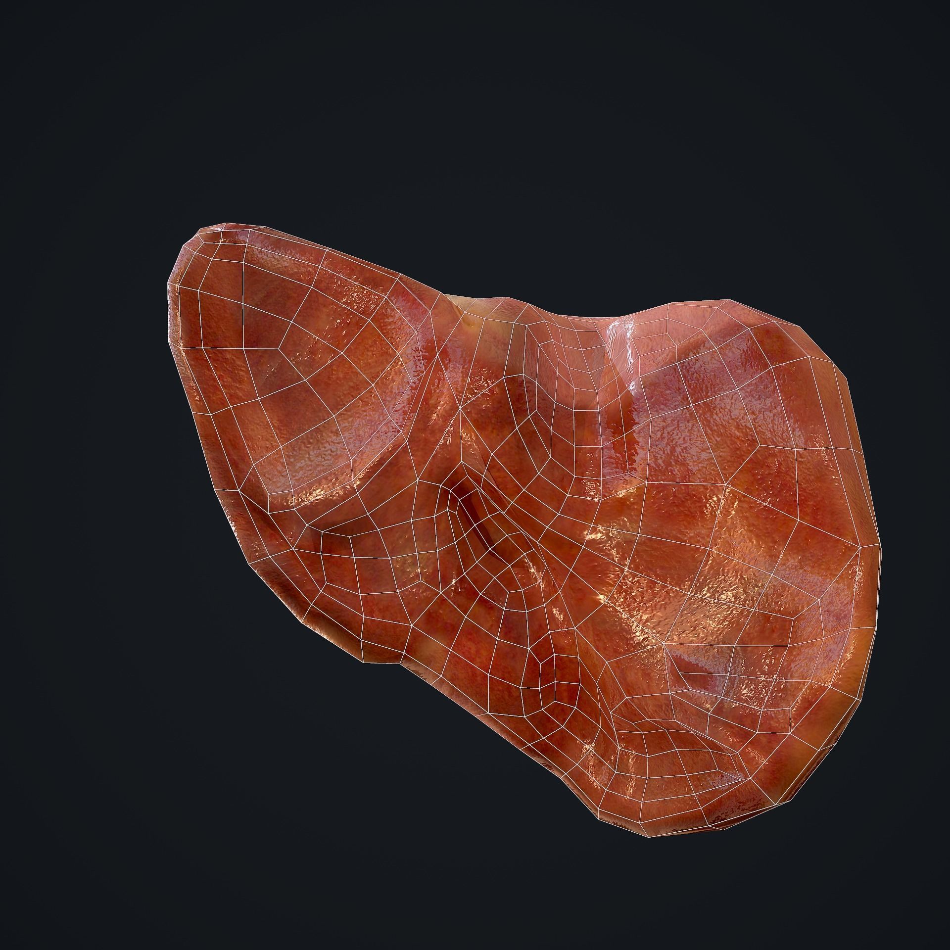 Human Liver Low-poly 3D model_17