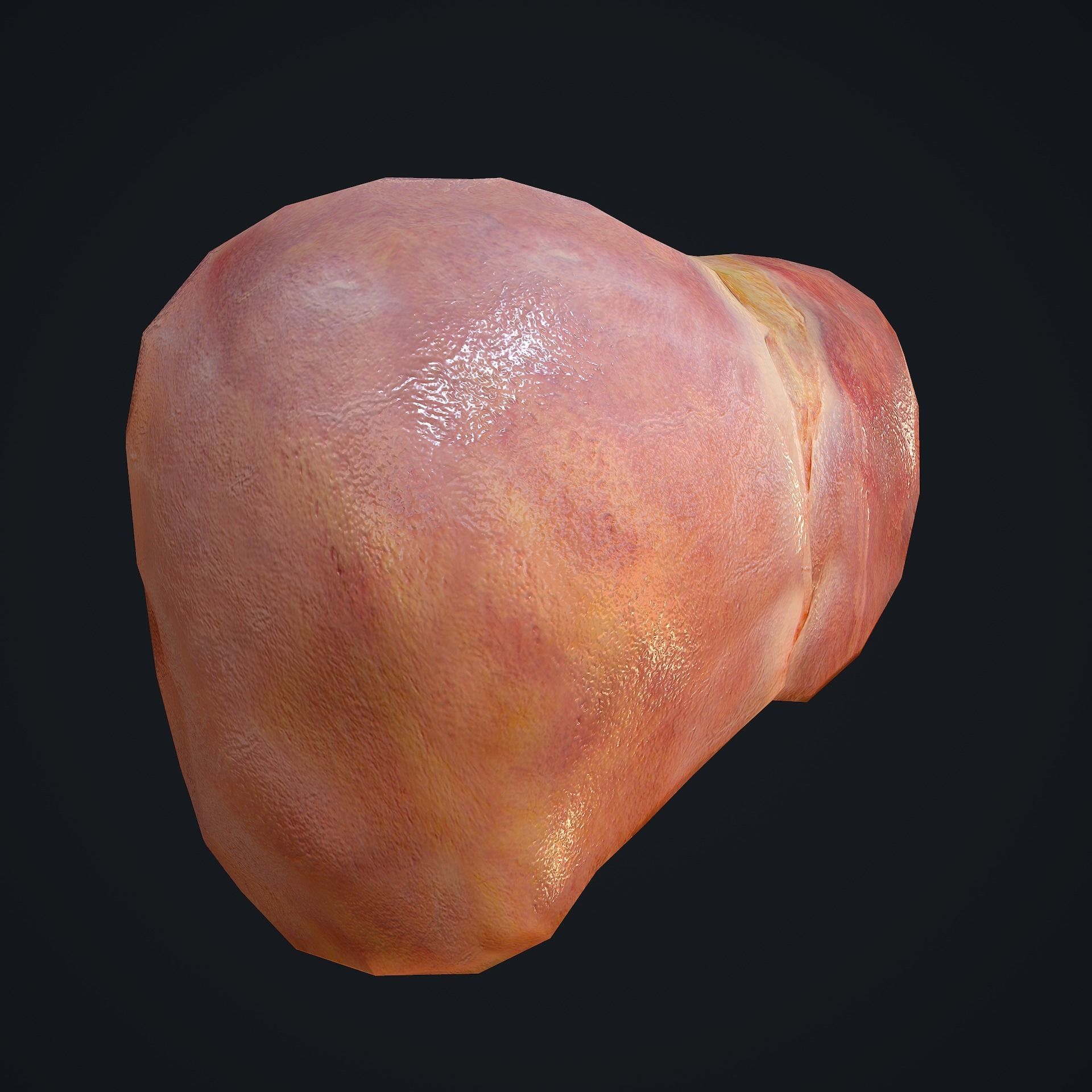 Human Liver Low-poly 3D model_7