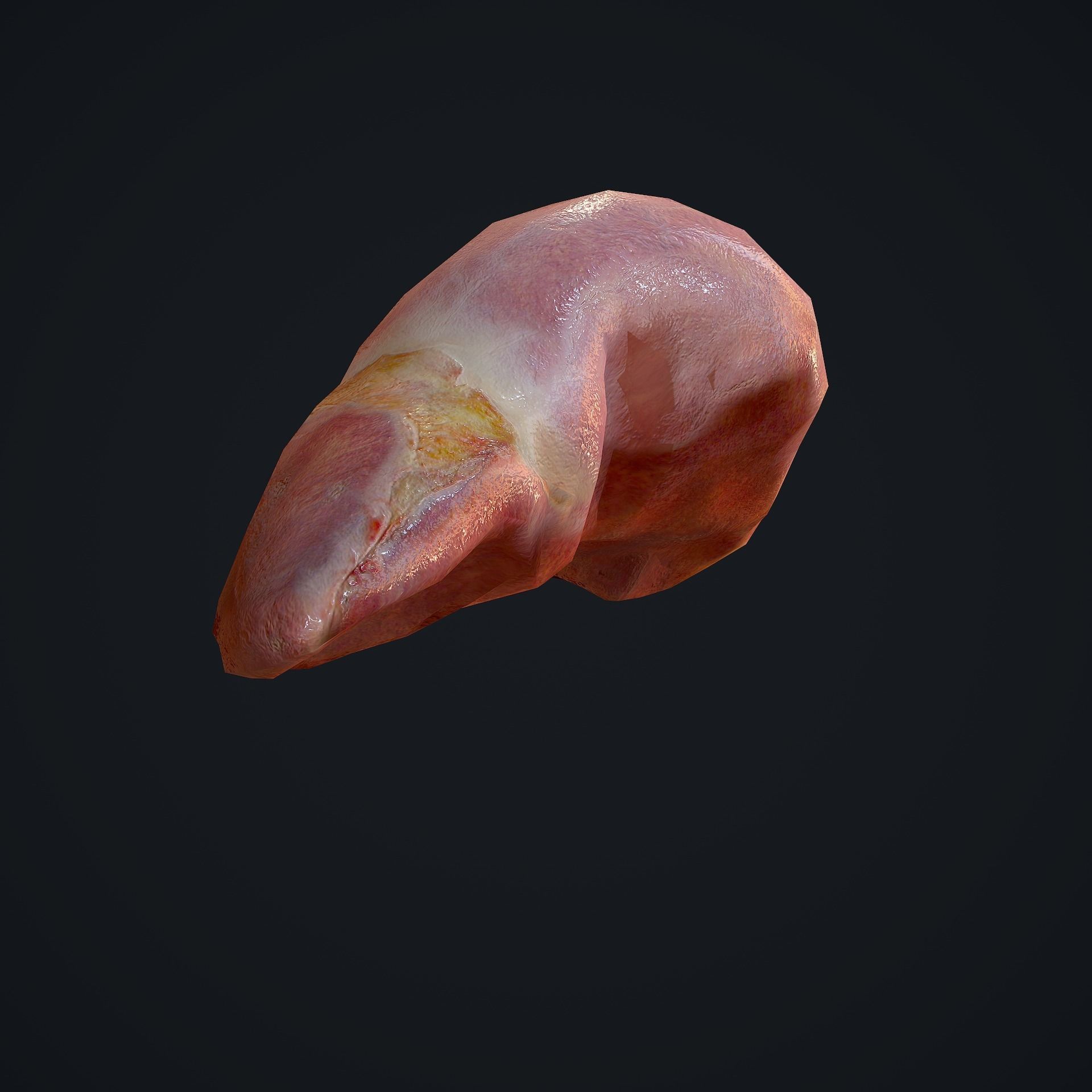Human Liver Low-poly 3D model_12