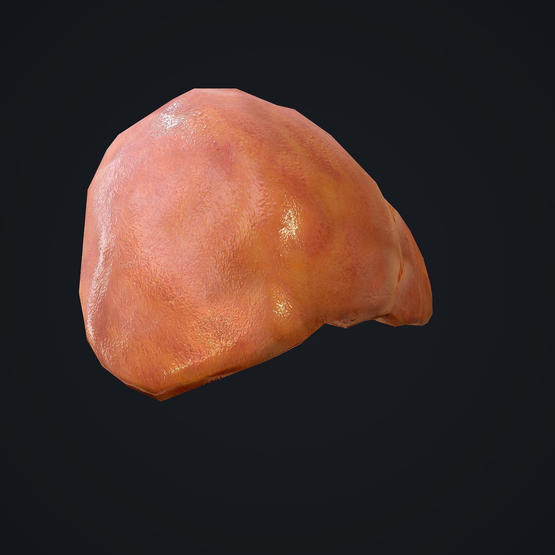 Human Liver Low-poly 3D model_14