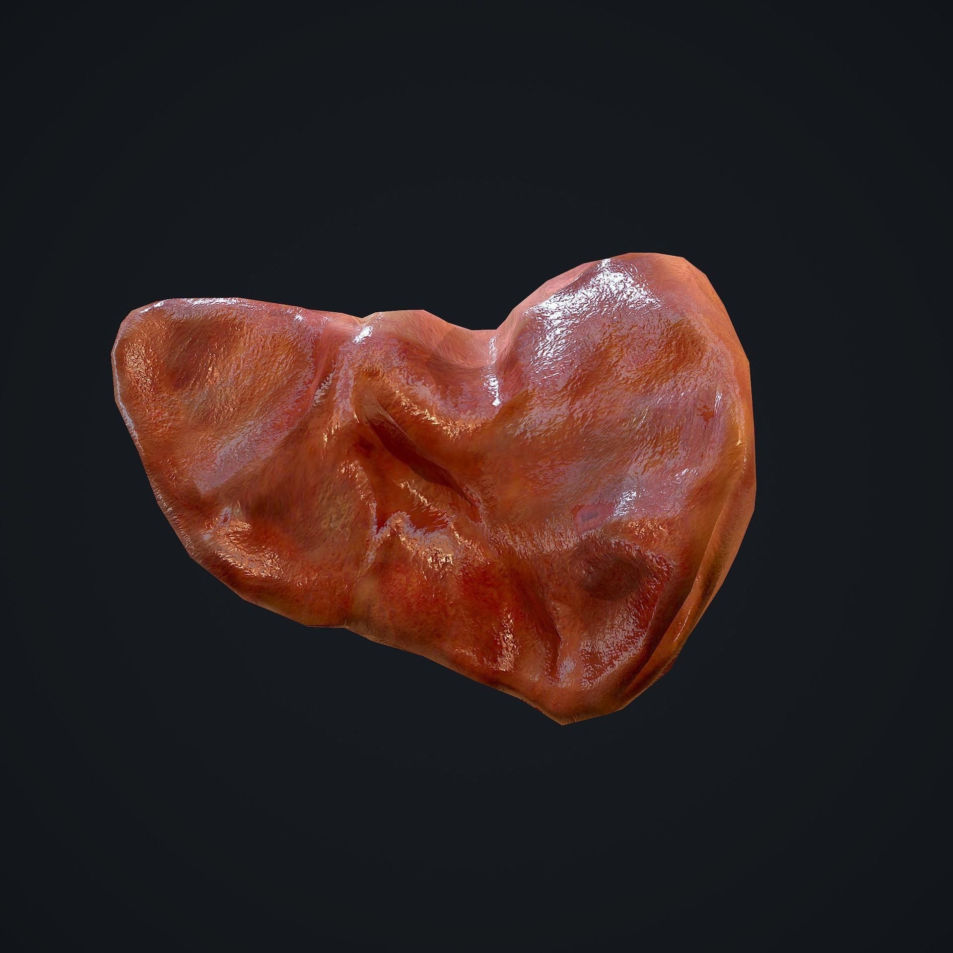 Human Liver Low-poly 3D model_15