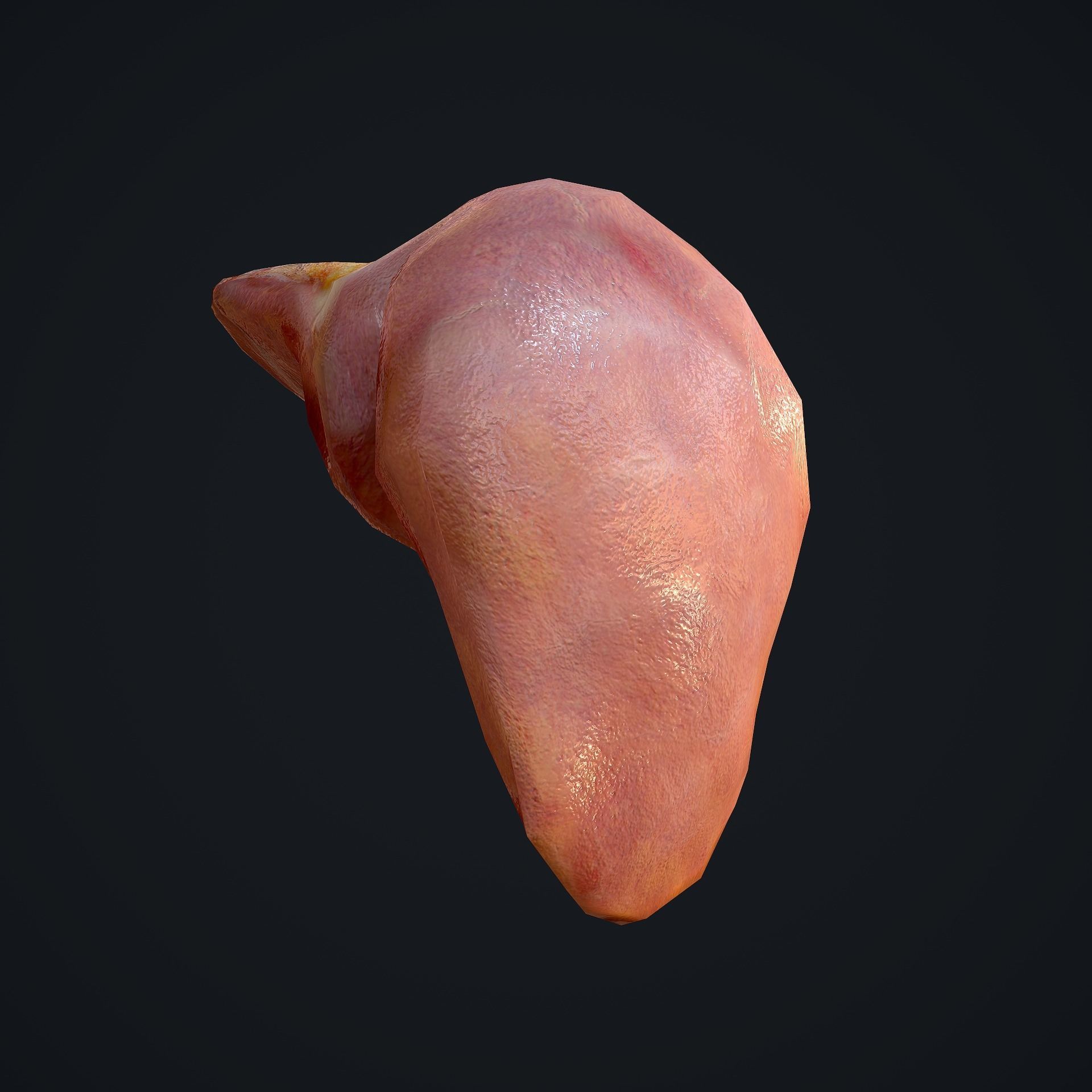 Human Liver Low-poly 3D model_3