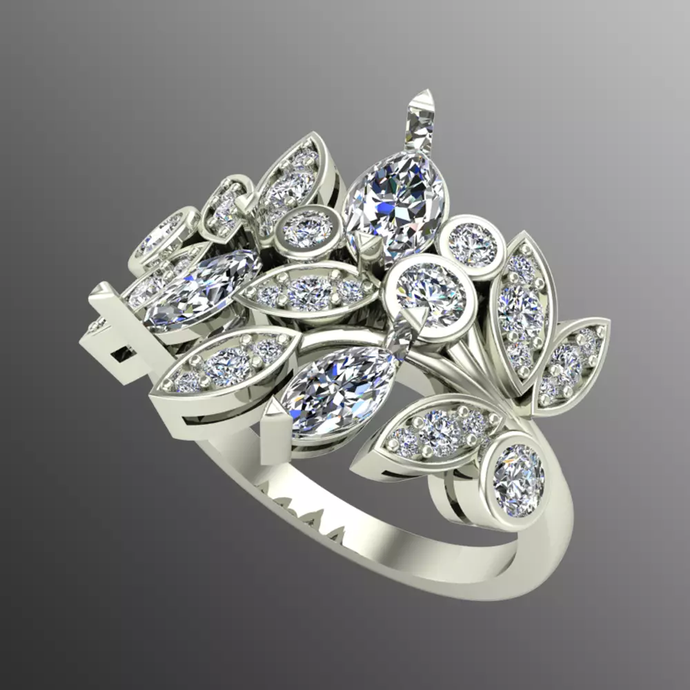 Ring pl 33 3D print model_0